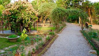 River View Jungle Camp