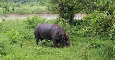 River View Jungle Camp
