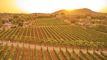 Sa Vinya des Convent Agroturismo