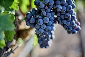 Sa Vinya des Convent Agroturismo