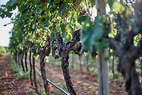 Sa Vinya des Convent Agroturismo