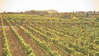 Sa Vinya des Convent Agroturismo