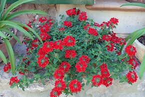 Sa Vall Turismo de Interior