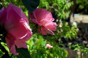 Sa Vall Turismo de Interior