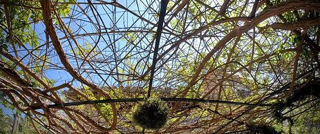 Sa Vall Turismo de Interior