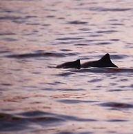 Tromso Activities Hostel