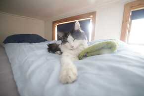 Tromso Activities Hostel