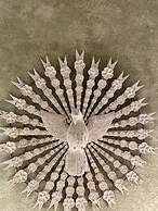 Pousada Rosa dos Ventos