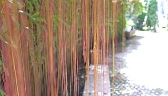 The Cave Studio Samui