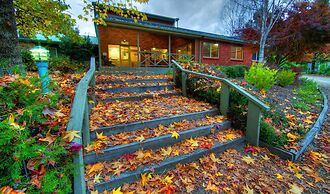 Discovery Parks - Bright