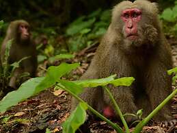sankara hotel & spa Yakushima