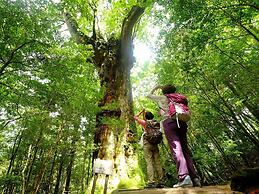 sankara hotel & spa Yakushima