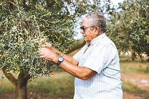 Agroturisme Son Barceló Mas