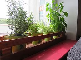 Finn McCool's Giants Causeway Hostel