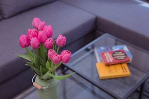 Shenkin Vilmar Apartments