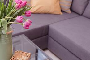 Shenkin Vilmar Apartments