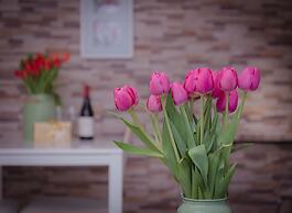 Shenkin Vilmar Apartments