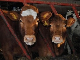 Whashton Springs Farm