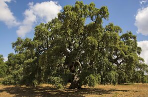 Monte do Giestal - Casas de Campo and Spa