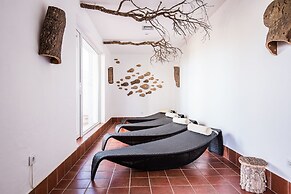 Monte do Giestal - Casas de Campo and Spa