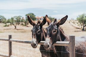 Monte do Giestal - Casas de Campo and Spa