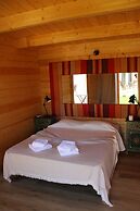 Inn Seventies Cheap & Chic