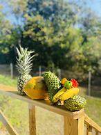 Mariposa Jungle Lodge