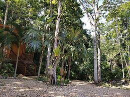 Mariposa Jungle Lodge