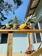 Mariposa Jungle Lodge