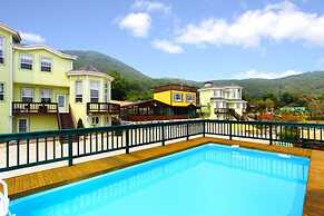 Afternoon of the Forest Pension