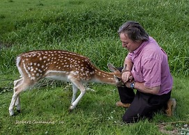 Cedar Meadows Resort & Spa, Ascend Hotel Collection