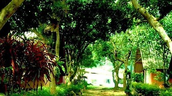 Cashewnut Tree Bungalows