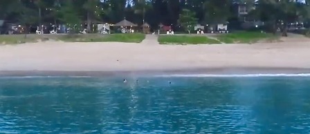 Micky Monkey Beach Hotel Phuket Maikhao Thailand