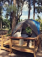 Micky Monkey Beach Hotel Phuket Maikhao Thailand