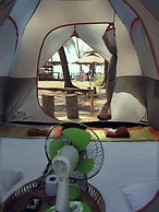 Micky Monkey Beach Hotel Phuket Maikhao Thailand