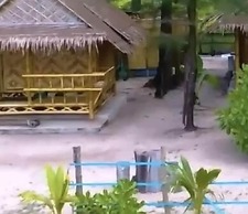 Micky Monkey Beach Hotel Phuket Maikhao Thailand