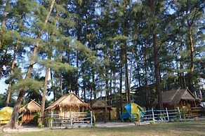 Micky Monkey Beach Hotel Phuket Maikhao Thailand