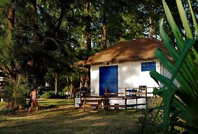Micky Monkey Beach Hotel Phuket Maikhao Thailand