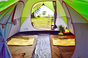 Micky Monkey Beach Hotel Phuket Maikhao Thailand