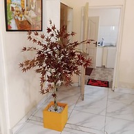 Marrets International Villa