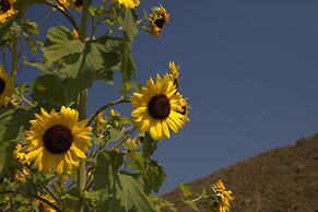 Eirini's Luxury Hotel Villas