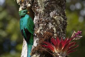 Paraíso Quetzal Lodge