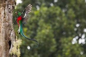 Paraíso Quetzal Lodge