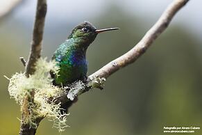 Paraíso Quetzal Lodge