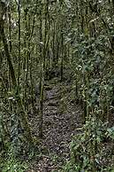 Paraíso Quetzal Lodge