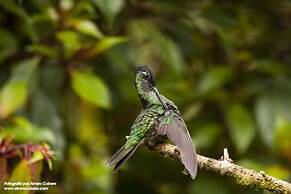 Paraíso Quetzal Lodge