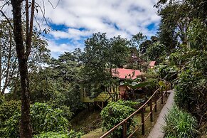 Paraíso Quetzal Lodge