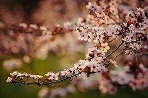 The Cottages at Hepburn Springs