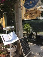 Lemon Villa Hotel - Adult Only