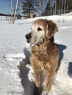 Nature's Inn Red Lake